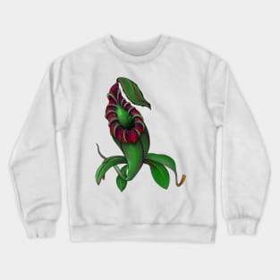 Botanical Nepenthes Pitcher Plant Carnivorous Plant Gift Idea Crewneck Sweatshirt